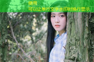 上海合作社经济的发展路径